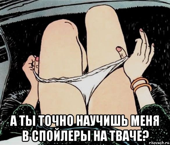  а ты точно научишь меня в спойлеры на тваче?, Мем А ты точно