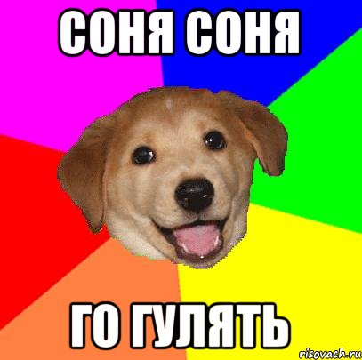 СОНЯ сОНЯ ГО ГУЛЯТЬ, Мем Advice Dog