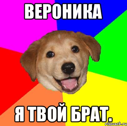 Вероника Я твой брат., Мем Advice Dog