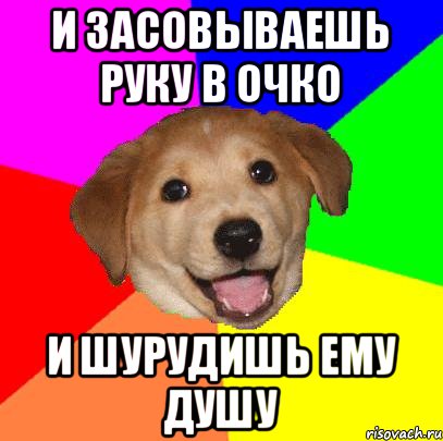 и засовываешь руку в очко и шурудишь ему душу, Мем Advice Dog