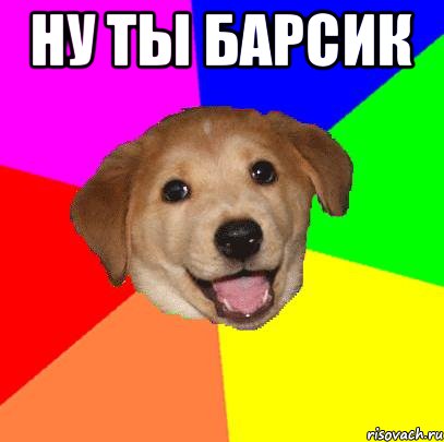 ну ты барсик , Мем Advice Dog