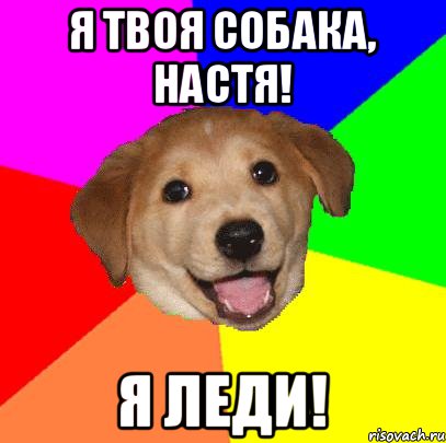 Я твоя собака, Настя! Я Леди!, Мем Advice Dog