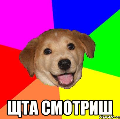  Щта смотриш, Мем Advice Dog