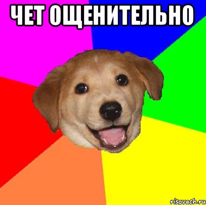 Чет ощенительно , Мем Advice Dog