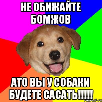 Не обижайте бомжов Ато вы у собаки будете сасать!!!!!, Мем Advice Dog