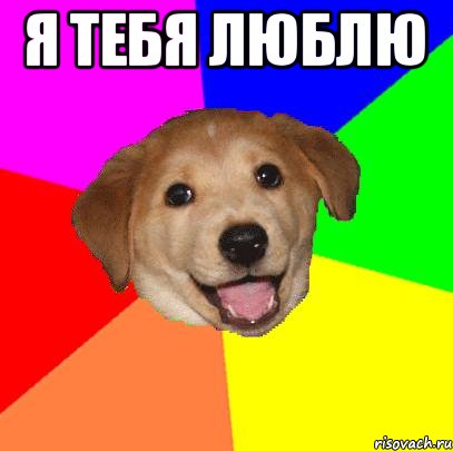 я тебя люблю , Мем Advice Dog