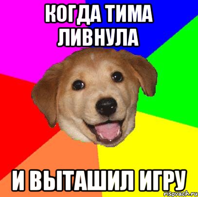 Когда тима ливнула и выташил игру, Мем Advice Dog