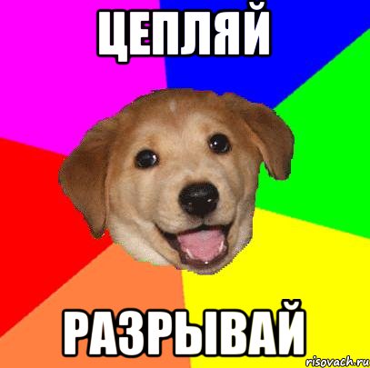 ЦЕПЛЯЙ РАЗРЫВАЙ, Мем Advice Dog