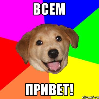 Всем Привет!, Мем Advice Dog