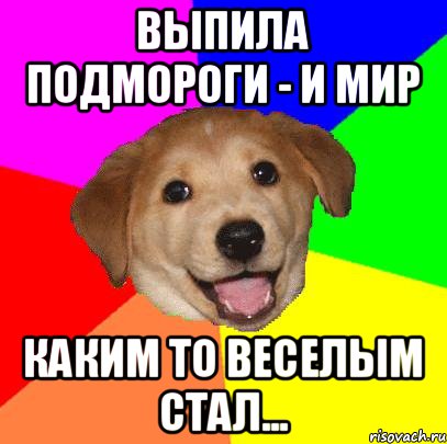 Выпила подмороги - и мир каким то веселым стал..., Мем Advice Dog