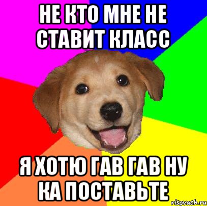 не кто мне не ставит класс я хотю гав гав ну ка поставьте, Мем Advice Dog