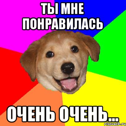 Ты мне понравилась очень очень..., Мем Advice Dog