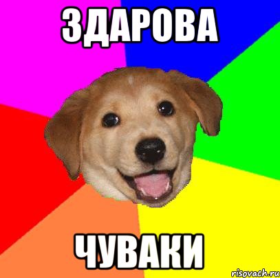 Здарова Чуваки, Мем Advice Dog