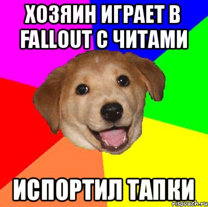 Хозяин играет в Fallout с читами Испортил тапки, Мем Advice Dog