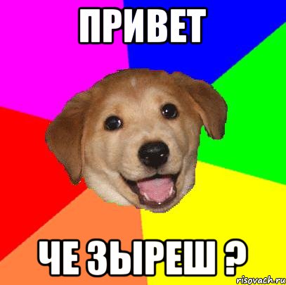 привет че зыреш ?, Мем Advice Dog