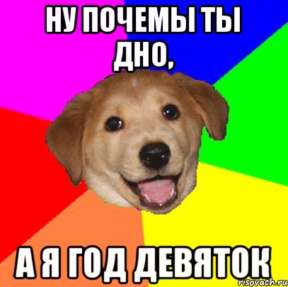 Ну почемы ты дно, а я год девяток, Мем Advice Dog