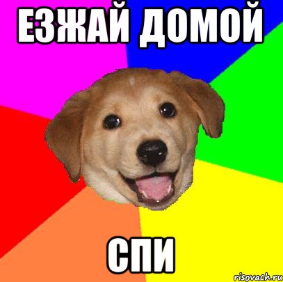 Езжай домой Спи, Мем Advice Dog