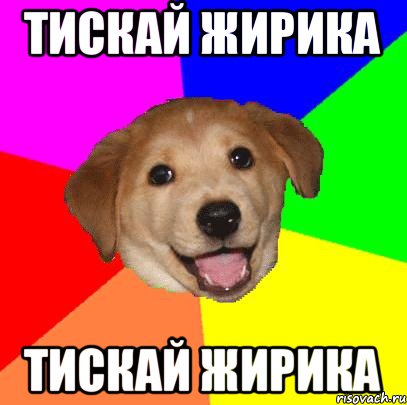 Тискай жирика Тискай жирика, Мем Advice Dog