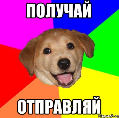 получай отправляй, Мем Advice Dog