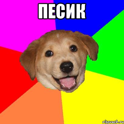 ПЕСИК , Мем Advice Dog