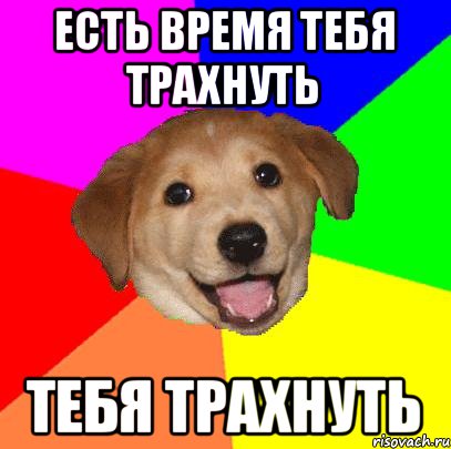 Есть время тебя трахнуть тебя трахнуть, Мем Advice Dog