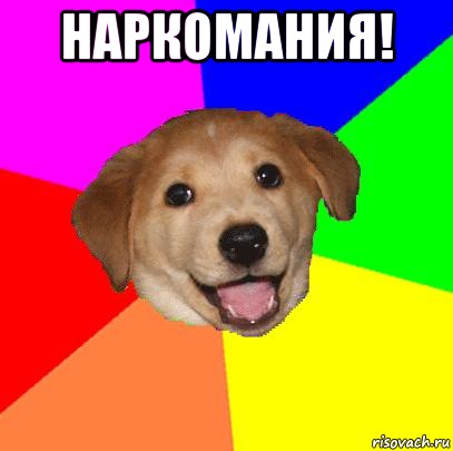 наркомания! , Мем Advice Dog