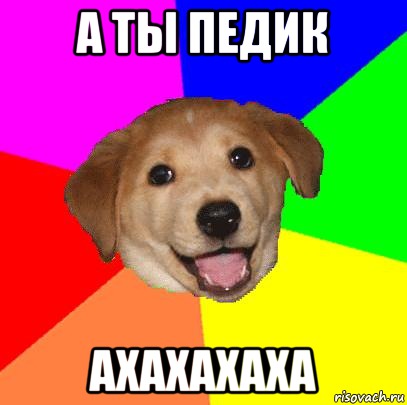 а ты педик ахахахаха, Мем Advice Dog