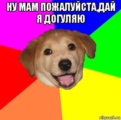 Ну мам пожалуйста,дай я догуляю , Мем Advice Dog