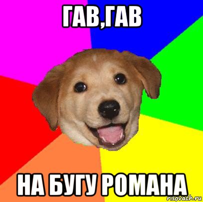 гав,гав на бугу романа, Мем Advice Dog