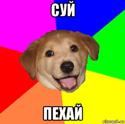 суй пехай, Мем Advice Dog