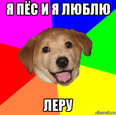 я пёс и я люблю леру, Мем Advice Dog