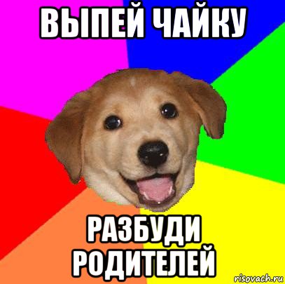 выпей чайку разбуди родителей, Мем Advice Dog