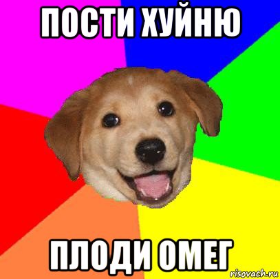 пости хуйню плоди омег, Мем Advice Dog