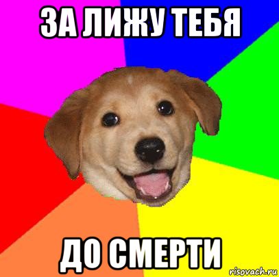 за лижу тебя до смерти, Мем Advice Dog