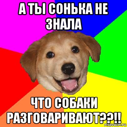 а ты сонька не знала что собаки разговаривают??!!, Мем Advice Dog