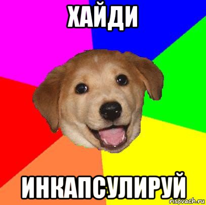 хайди инкапсулируй, Мем Advice Dog