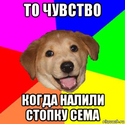 то чувство когда налили стопку сема, Мем Advice Dog