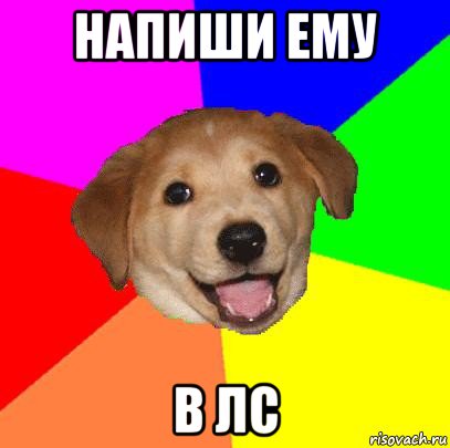 напиши ему в лс, Мем Advice Dog