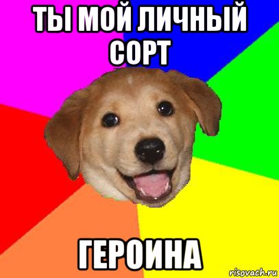 ты мой личный сорт героина, Мем Advice Dog