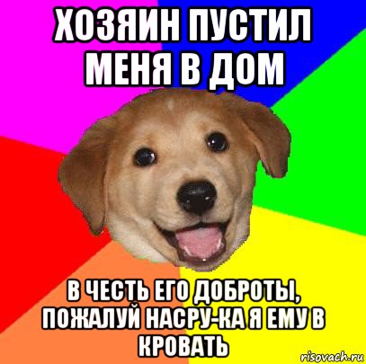 хозяин пустил меня в дом в честь его доброты, пожалуй насру-ка я ему в кровать, Мем Advice Dog