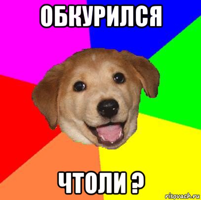 обкурился чтоли ?, Мем Advice Dog