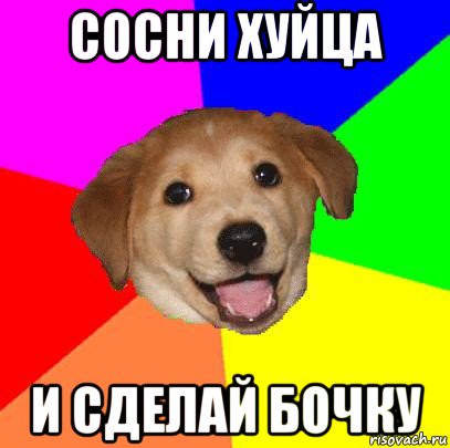 сосни хуйца и сделай бочку, Мем Advice Dog