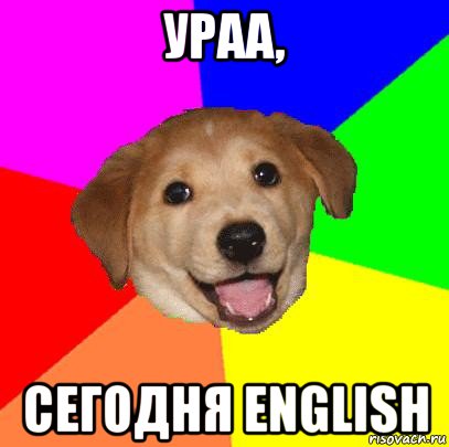 ураа, сегодня english, Мем Advice Dog