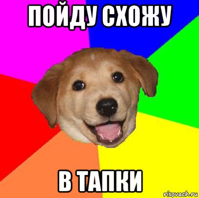 пойду схожу в тапки, Мем Advice Dog