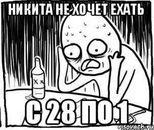 Никита не хочет ехать С 28 по 1