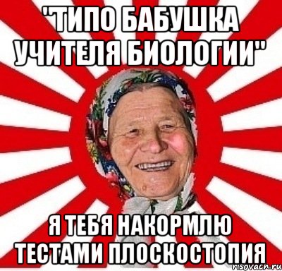 "типо бабушка учителя биологии" Я тебя накормлю тестами плоскостопия, Мем  бабуля