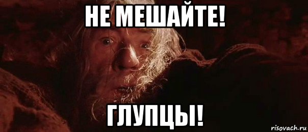 не мешайте! глупцы!, Мем бегите глупцы