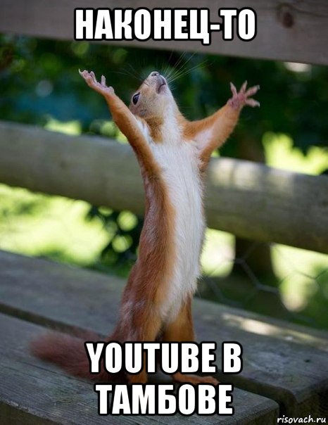 наконец-то youtube в тамбове, Мем    белка молится