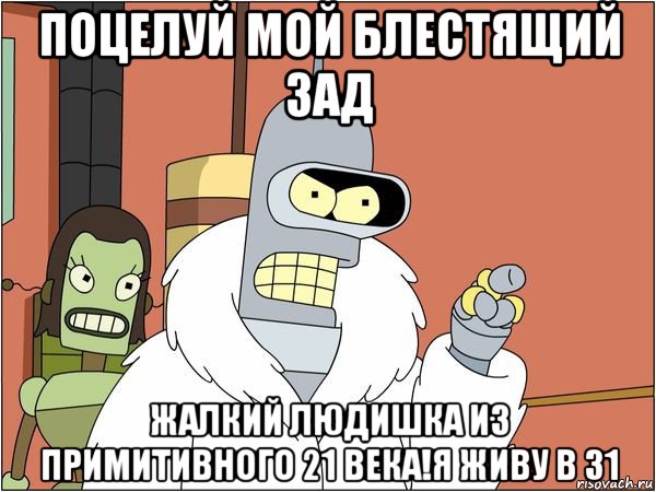 поцелуй мой блестящий зад жалкий людишка из примитивного 21 века!я живу в 31, Мем Бендер