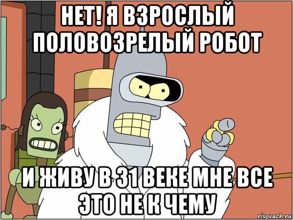 нет! я взрослый половозрелый робот и живу в 31 веке мне все это не к чему, Мем Бендер